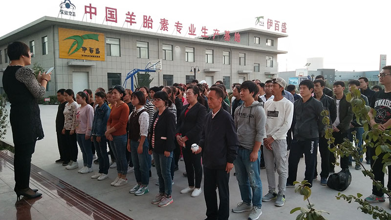 銀川伊百盛生物工程有限公司 銀川伊百盛生物工程有限公司