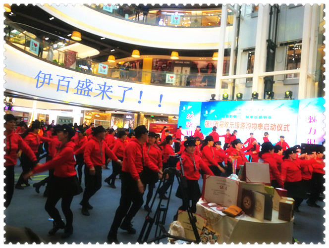 銀川伊百盛生物工程有限公司 銀川伊百盛生物工程有限公司