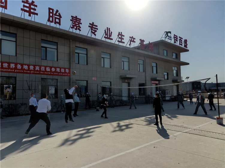 銀川伊百盛生物工程有限公司 銀川伊百盛生物工程有限公司