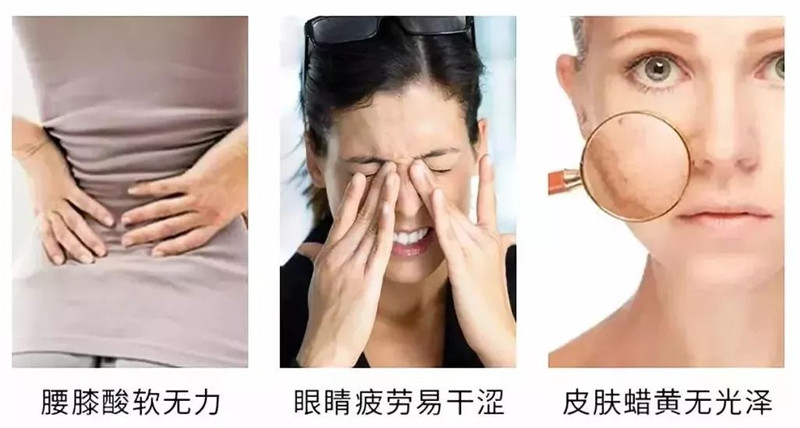 銀川伊百盛生物工程有限公司 銀川伊百盛生物工程有限公司