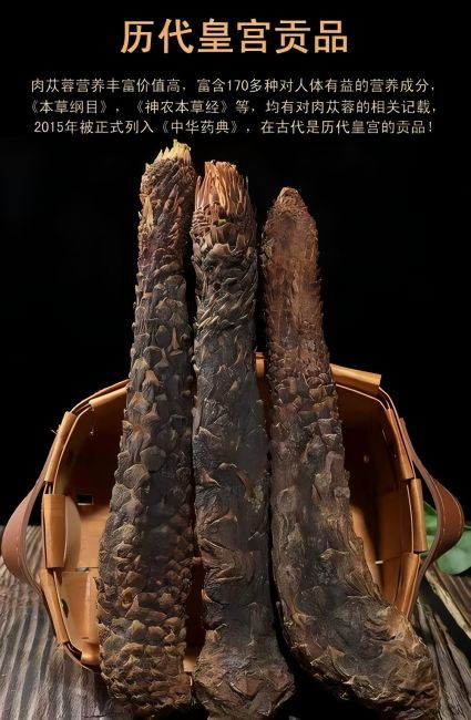 銀川伊百盛生物工程有限公司 銀川伊百盛生物工程有限公司