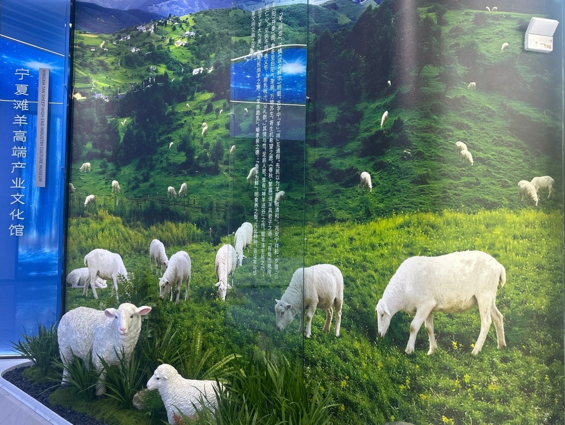 銀川伊百盛生物工程有限公司