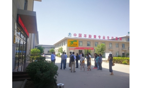 江南大學、寧夏大學課題組專家蒞臨伊百盛調研交流