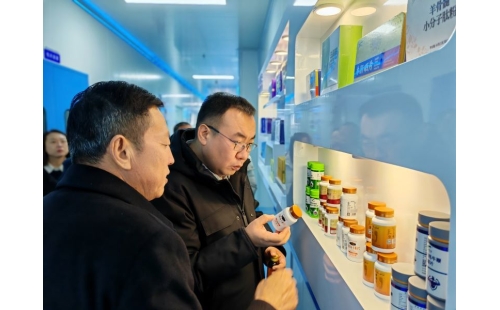 金鳳區(qū)常委、組織部長(zhǎng)杜鈞，副區(qū)長(zhǎng)、公安局長(zhǎng)王占東一行蒞臨企業(yè)參觀調(diào)研