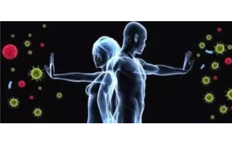 為什么補(bǔ)的是肽而不是氨基酸？