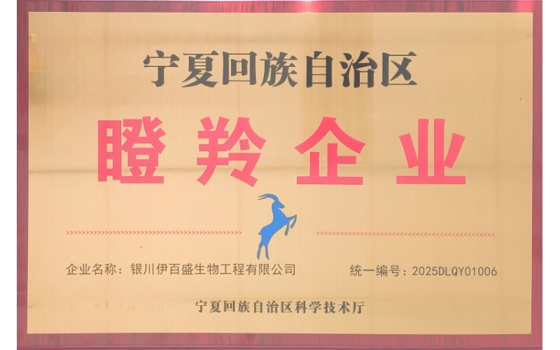 銀川伊百盛榮膺2025年度&ldquo;自治區(qū)瞪羚企業(yè)&rdquo; 以創(chuàng)新賦能產(chǎn)業(yè)發(fā)展